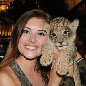 Meet your Posher, Caitlyn